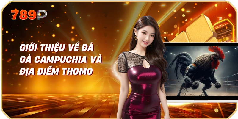 Đá gà Campuchia Thomo Trực Tiếp Trải Nghiệm Không Thể Bỏ Lỡ 1 Giới thiệu về đá gà Campuchia và địa điểm Thomo